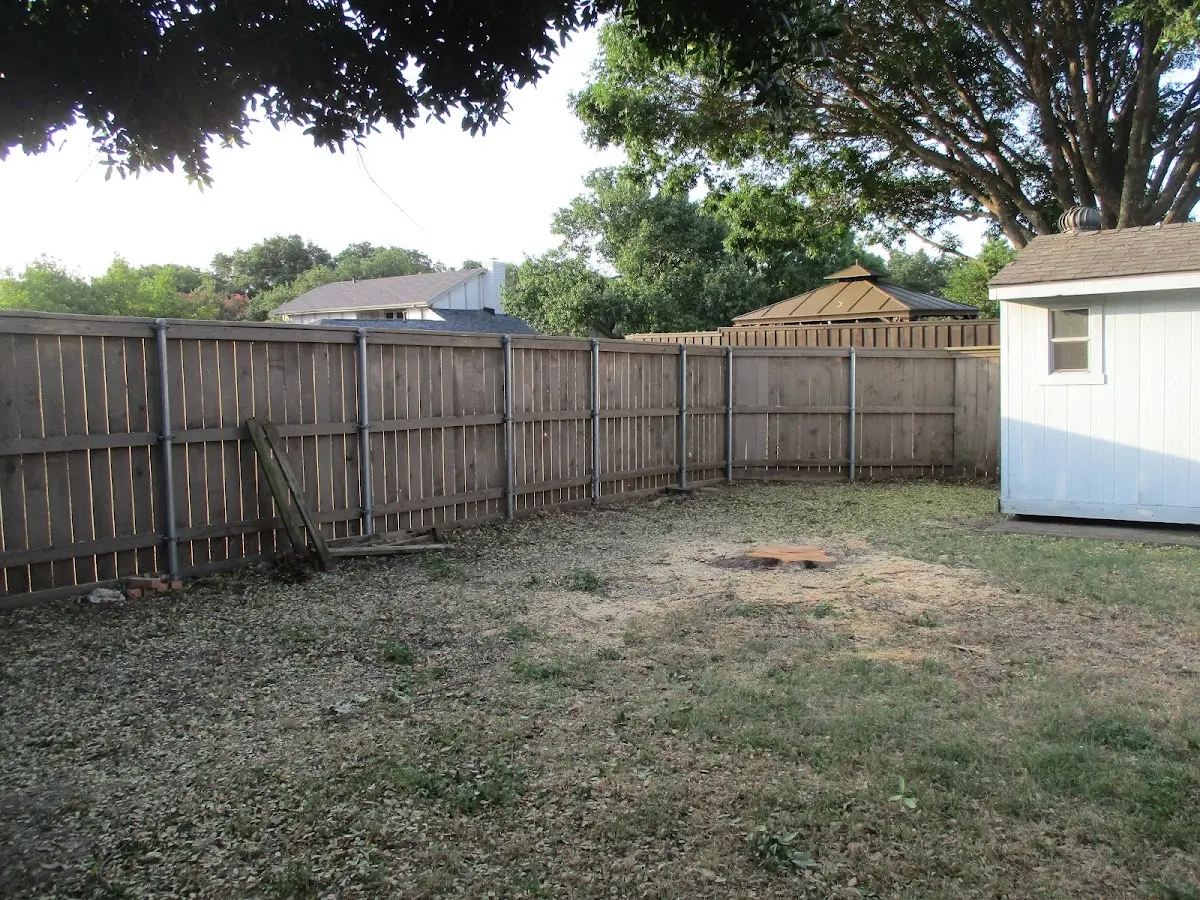 Cleared yard after professional tree removal in Pattonville